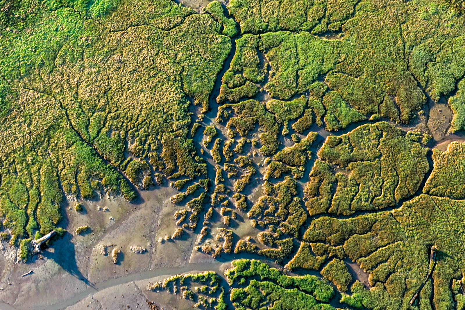 Top down view of an estuary with rivers spreading out like veins across the landscape