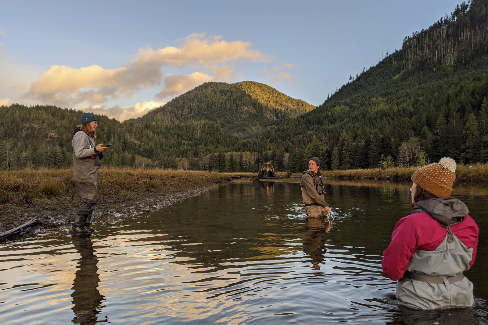 Three field workers wade across a stream in an estuary to conduct research.