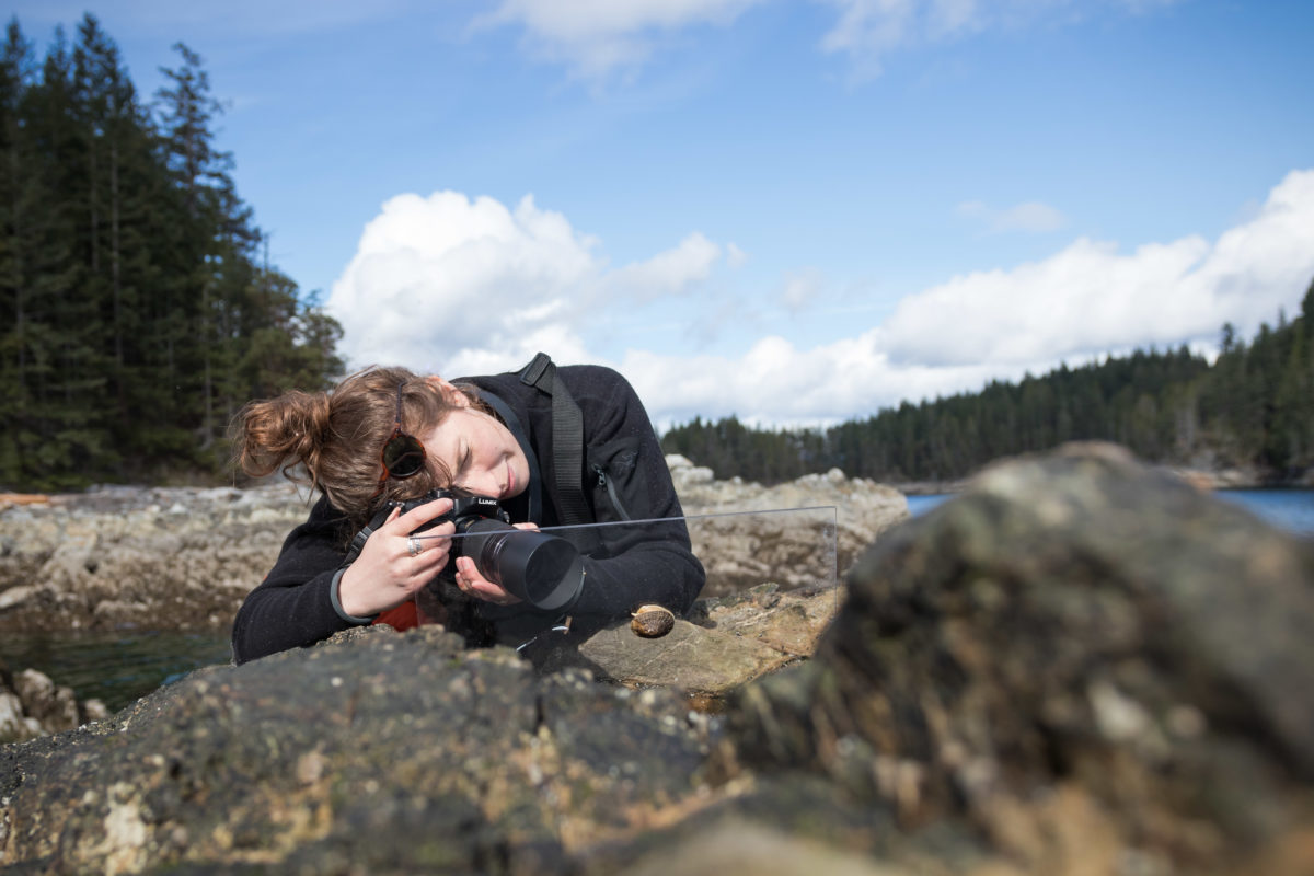 Kat-Pyne-in-filming-keyhole-limpet-in-intertidal