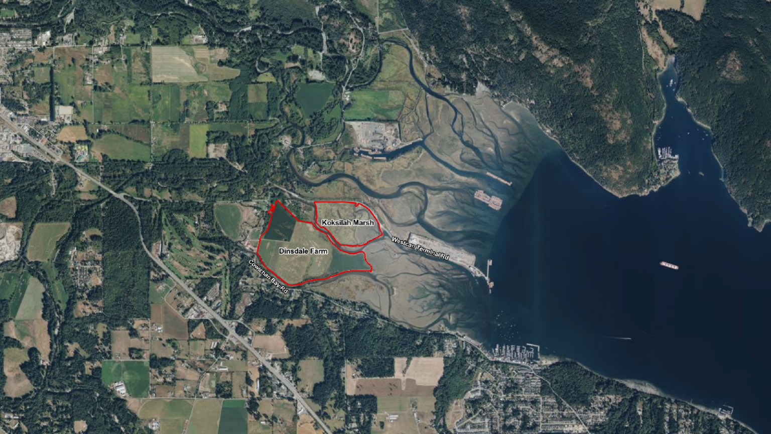 Cowichan Estuary Restoration Project Estuary Resilience